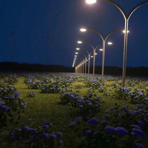 肛交农村初中生小说
