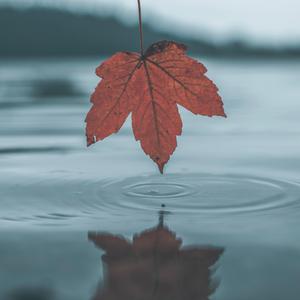 肛交农村初中生小说
